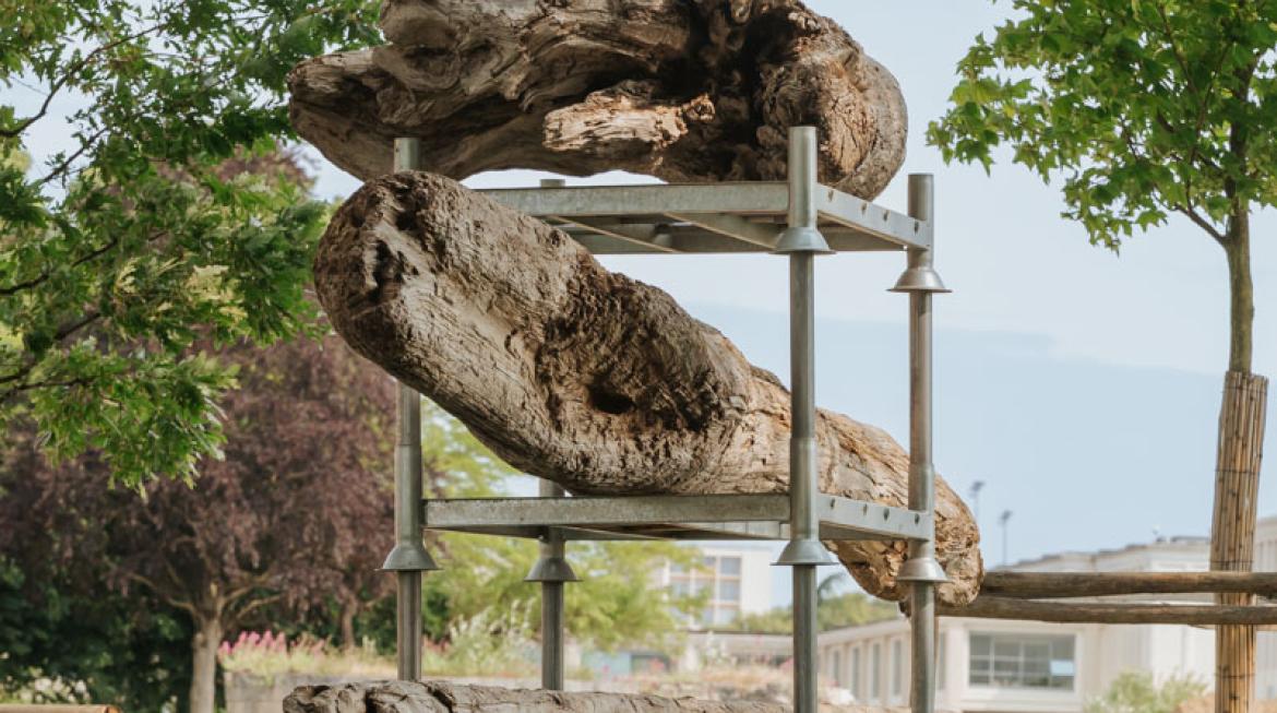Les troncs de bois flottés du collectif se trouvent sur des racks métalliques. Derrière, un grand ciel bleu. Des arbres se trouvent de chaque côté de l'installation.