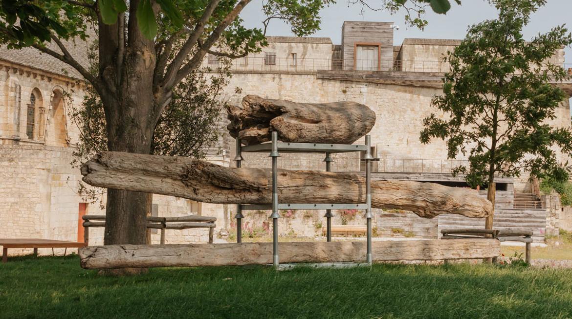 Les troncs de bois flottés du collectif se trouvent sur des racks métalliques. Derrière, la muraille du château est baignée de soleil. 